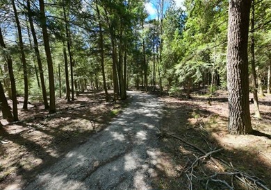 Beautiful opportunity here, 100 Ft of Lake huron frontage, .62 - photo 12