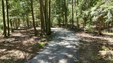 Beautiful opportunity here, 100 Ft of Lake huron frontage, .62 - photo 13