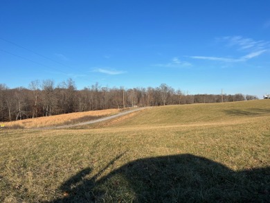 Lake Cumberland Lot For Sale in Nancy Kentucky