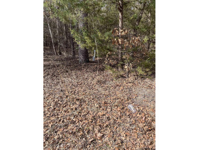 (private lake, pond, coastal) Lot For Sale in Murchison Texas