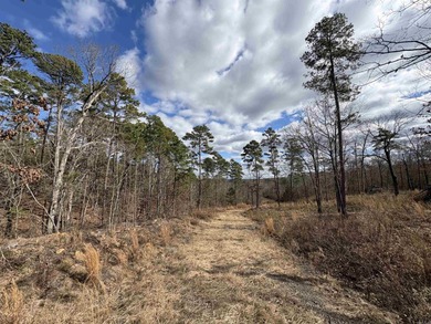 A truly rare opportunity to own 21 private acres inside the - photo 4