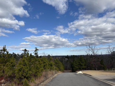 A truly rare opportunity to own 21 private acres inside the - photo 10