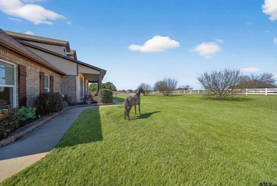 Discover luxury equestrian living in Stallion Lake Ranch - photo 4