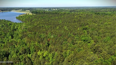 Discover the unmatched potential of this 34-acre wooded paradise - photo 3