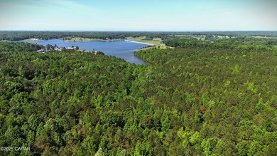 Discover the unmatched potential of this 34-acre wooded paradise - photo 4