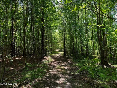 Discover the unmatched potential of this 34-acre wooded paradise - photo 8