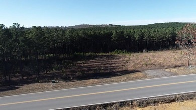 (private lake, pond, creek) Lot For Sale in Bauxite Arkansas