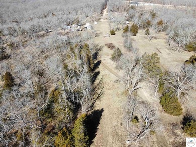 Terrific 119.5-acre m/l tract of land with tons of wildlife and - photo 3