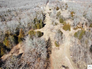 Terrific 119.5-acre m/l tract of land with tons of wildlife and - photo 4