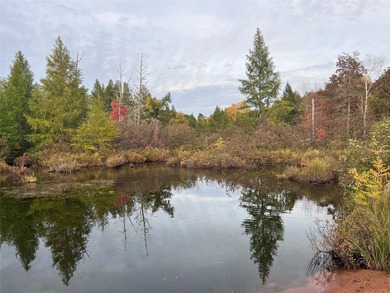 A rare opportunity to own a 4.41-acre waterfront lot on the - photo 5