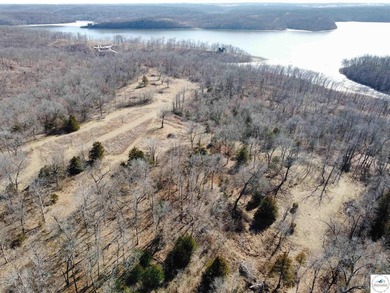 Terrific 119.5-acre m/l tract of land with tons of wildlife and - photo 8