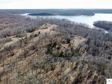 Terrific 119.5-acre m/l tract of land with tons of wildlife and - photo 9