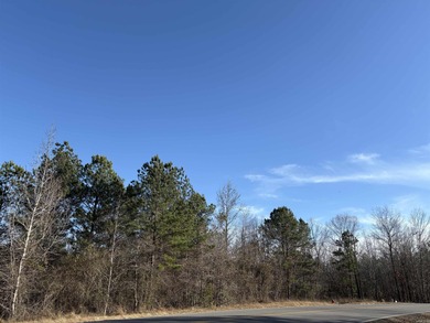 Don't miss this rare opportunity to own an incredible 1-acre lot - photo 2