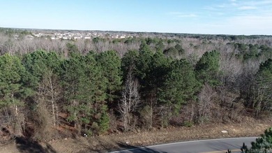 Don't miss this rare opportunity to own an incredible 1-acre lot - photo 3