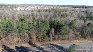 Don't miss this rare opportunity to own an incredible 1-acre lot - photo 4