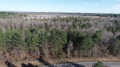Don't miss this rare opportunity to own an incredible 1-acre lot - photo 5