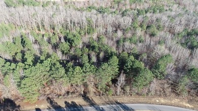 Don't miss this rare opportunity to own an incredible 1-acre lot - photo 6