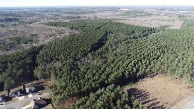 Don't miss this rare opportunity to own an incredible 1-acre lot - photo 8