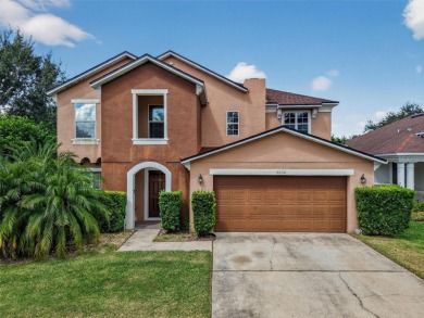 Lake Home For Sale in Mount Dora, Florida