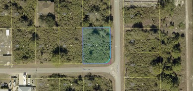 Lehigh Acres Area Lot For Sale in Lehigh Acres Florida