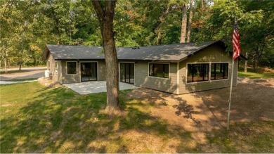 Lake Home For Sale in Hackensack, Minnesota