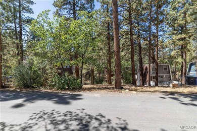 Vacant Land Opportunity - Kern Ave, Sugarloaf, CA 92386 Located - photo 3