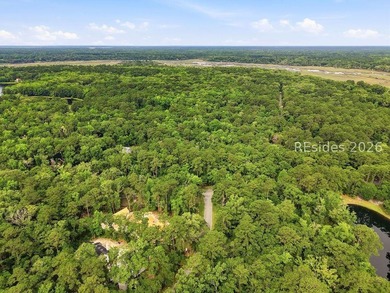 Build your Lowcountry retreat on this 0.98-acre homesite located - photo 13