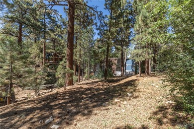 Vacant Land Opportunity - Kern Ave, Sugarloaf, CA 92386 Located - photo 5