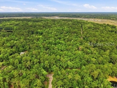 Build your Lowcountry retreat on this 0.98-acre homesite located - photo 15