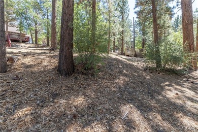Vacant Land Opportunity - Kern Ave, Sugarloaf, CA 92386 Located - photo 8