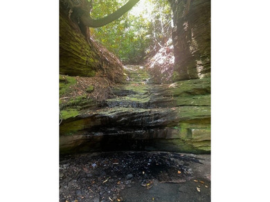 (private lake, pond, creek) Acreage For Sale in Campton Kentucky