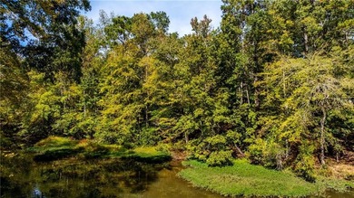 Lake Oliver Lot For Sale in Phenix City Alabama