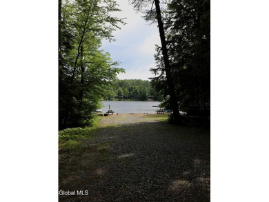 Loon Lake Deeded Beach/Water Access. Welcome to Bella Luna - - photo 45