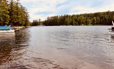 Loon Lake Deeded Beach/Water Access. Welcome to Bella Luna - - photo 49