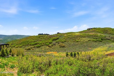 Discover this stunning south-facing homesite in Tuhaye - photo 3
