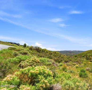 Discover this stunning south-facing homesite in Tuhaye - photo 4