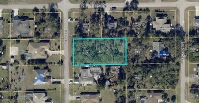 Lehigh Acres Area Lot For Sale in Lehigh Acres Florida