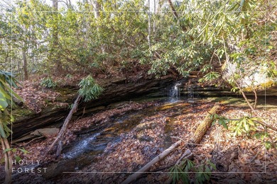 Hogback Lake Lot For Sale in Sapphire North Carolina