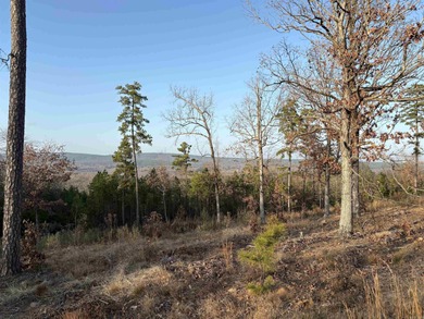 Lake Maumelle Lot For Sale in Roland Arkansas