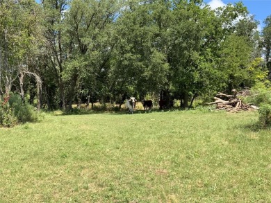 Exceptional 24-Acre Property with Wildlife Habitat and