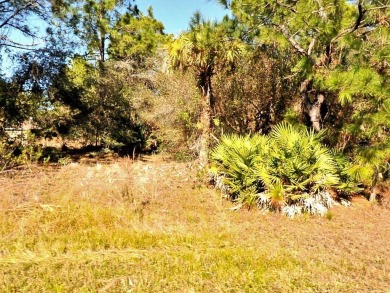 Northport Waterway Lakes and Canals Lot For Sale in North Port Florida