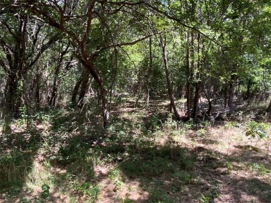 Exceptional 24-Acre Property with Wildlife Habitat and