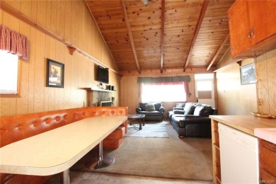 Big Bear Lake Home For Sale in Big Bear City California