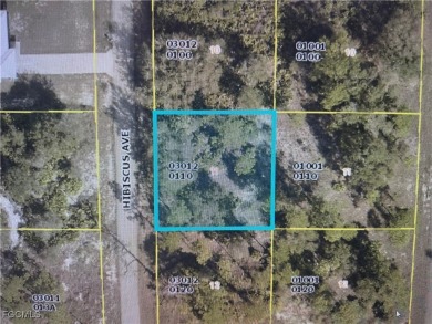 Lehigh Acres Area Lot For Sale in Lehigh Acres Florida
