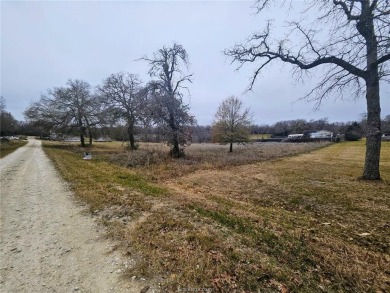 Lake Lot For Sale in Jewett, Texas