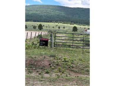 Monte Verde Lake Acreage For Sale in Colfax New Mexico