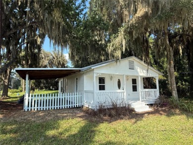 Lake George Home For Sale in Georgetown Florida