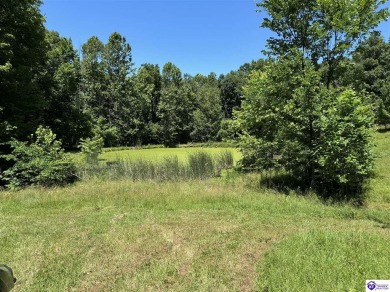 (private lake, pond, creek) Acreage For Sale in Irvington Kentucky