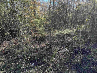 Lake Palestine Lot For Sale in Bullard Texas