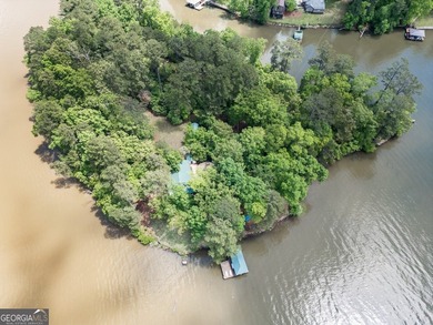 Move In Ready Home with excellent dock,558' waterfront. - photo 5